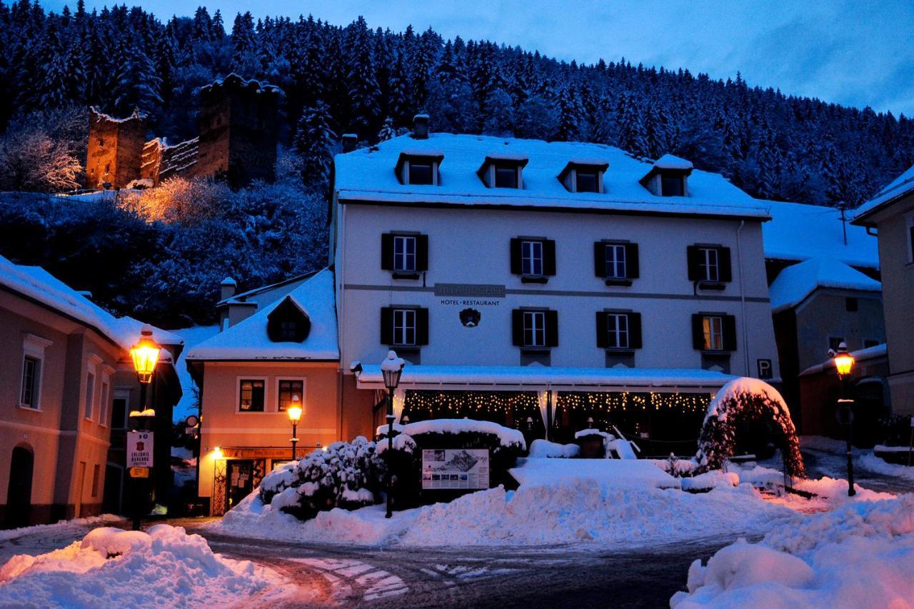 Villa Bucher - Metnitztalerhof Friesach  Dış mekan fotoğraf